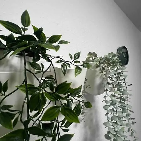 Modernes Mit 75qm Mit Balkon & Aussicht * Aquisgrà