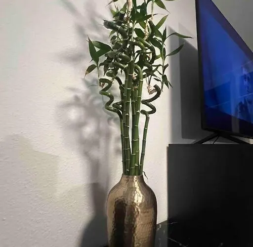 Apartman Modernes Mit 75qm Mit Balkon & Aussicht